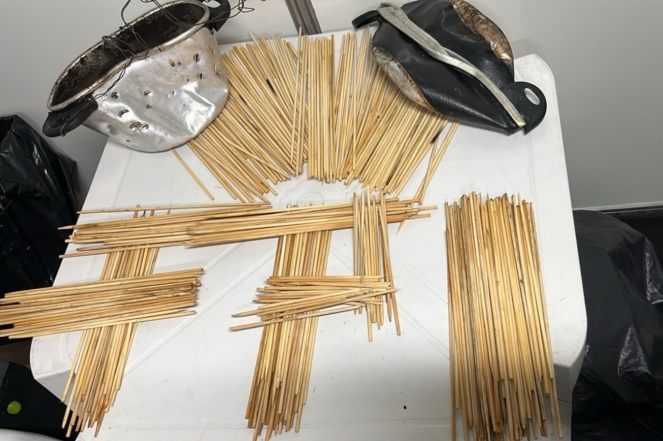 FPI divulga balanço do último dia da Micareta de Feira 2025