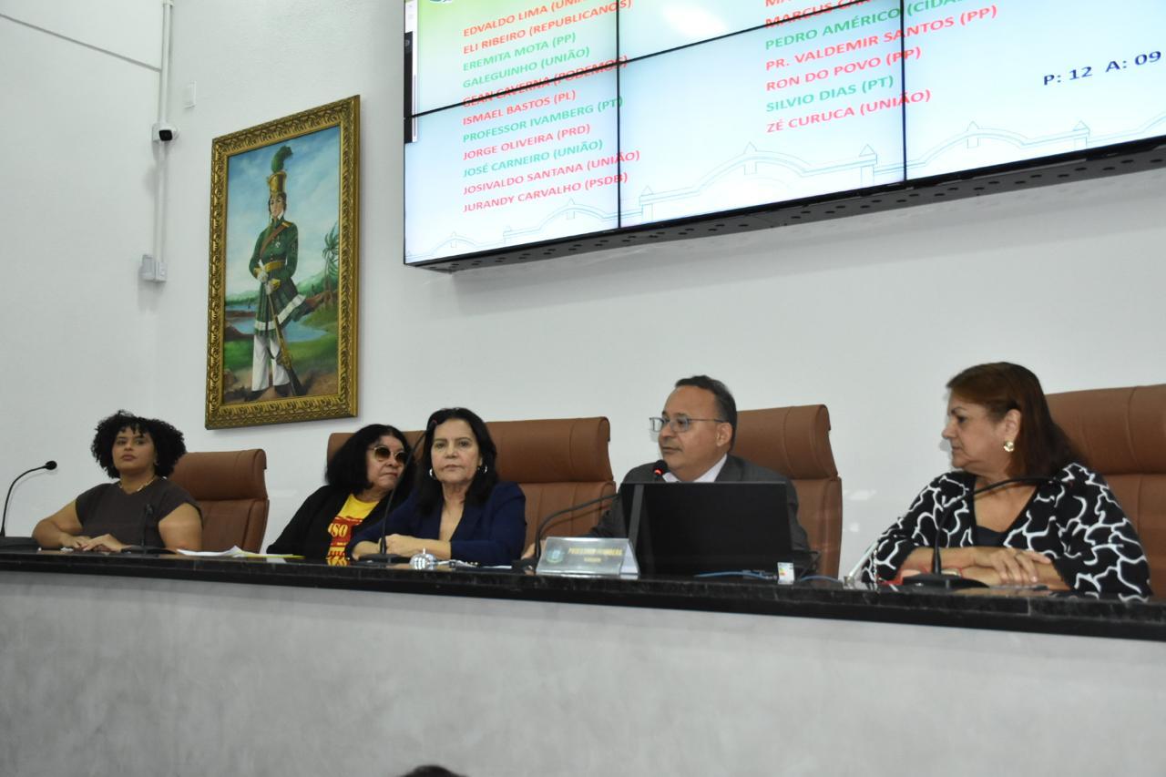 Professores do REDA denunciam sobrecarga e cobram direitos em Audiência Pública na Câmara