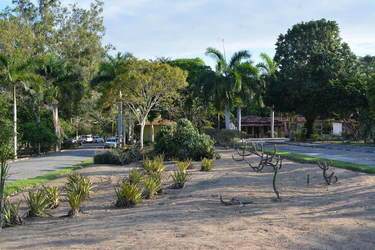 Parque da Cidade pronto para receber milhares de pessoas para o Brinca Feira, no Dia das Crianças