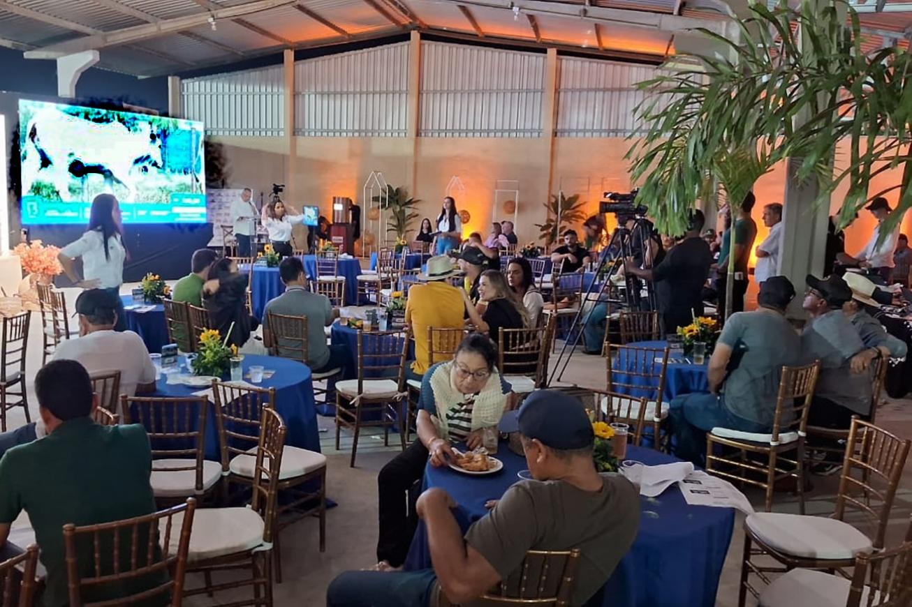 Leilões durante a Expofeira serão realizados nos dias 8 e 11 de setembro