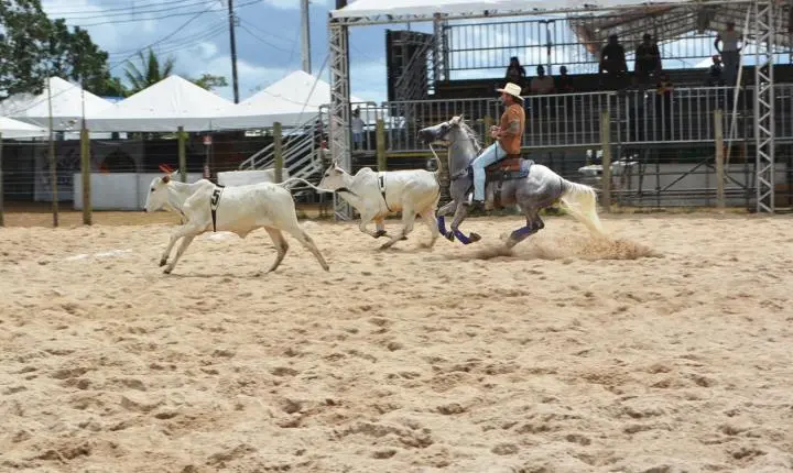 Expofeira se consolida como principal vitrine do Team Penning na Bahia